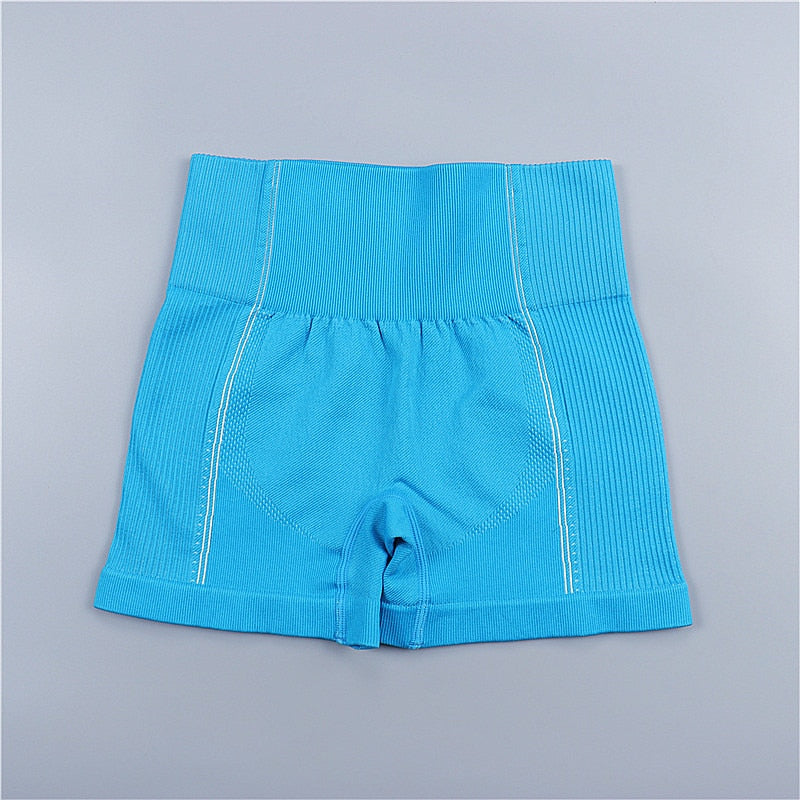 Seamless Sport Set Women Long Two Piece