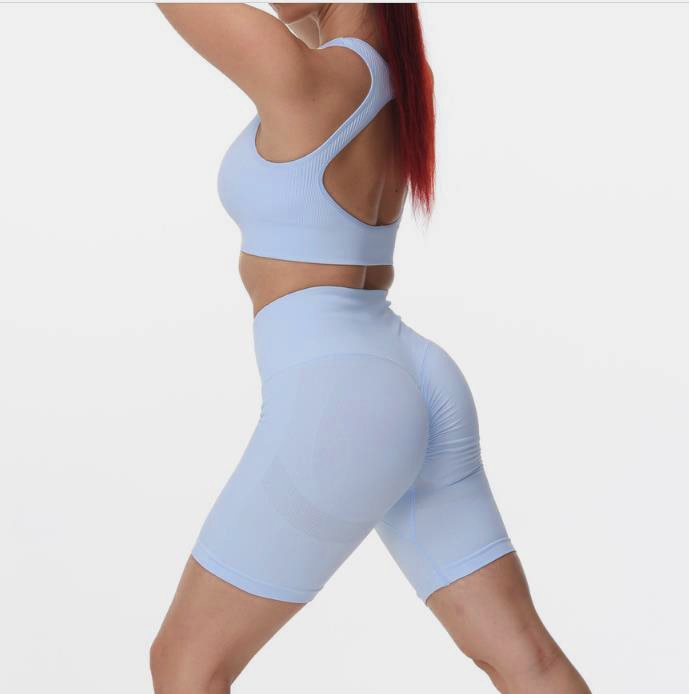Women Seamless Yoga Set Female Two Piece Crop Top