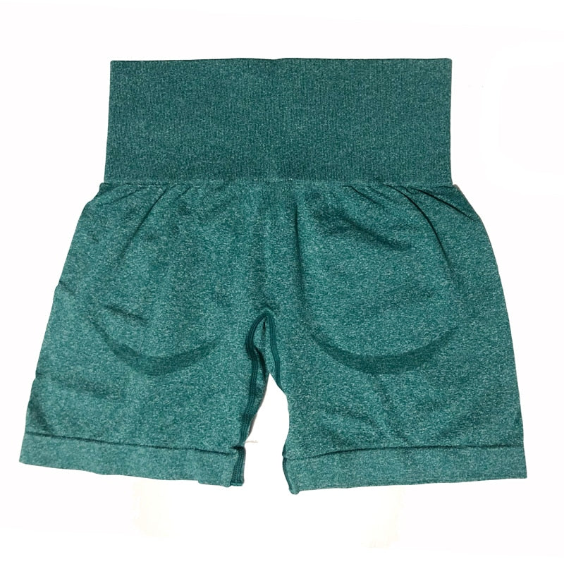 New Contour Seamless Shorts Women Gym Skims