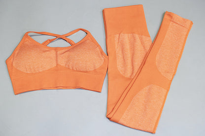 Quick Drying Yoga Vest Set Sports Running Set