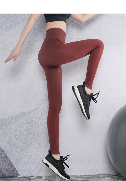 Women Tummy Control Gym Legging Athletic