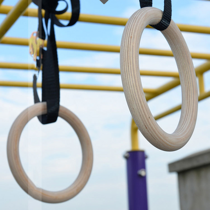 Gymnastics birch rings