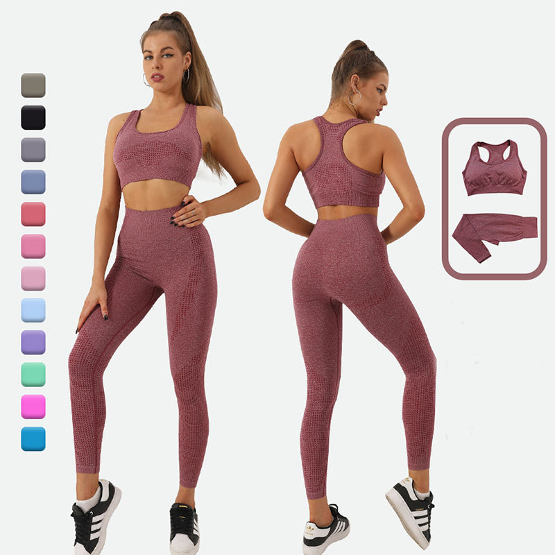 2PCS Seamless Yoga Set Women Tracksuit High Waist Leggings