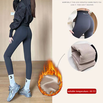 Fleece Thickened Leggings Winter -20 To 5 Shark Pants For Women