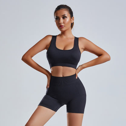 2pcs Yoga Set Women's Vest And Shorts Tracksuit Seamless