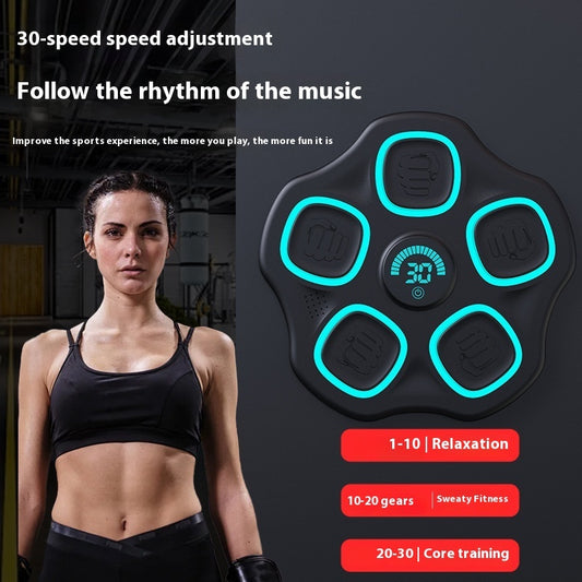 Intelligent Boxing Target Bluetooth Music Fitness