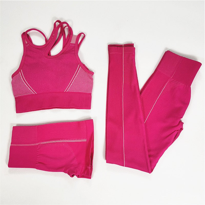 Seamless Sport Set Women Long Two Piece