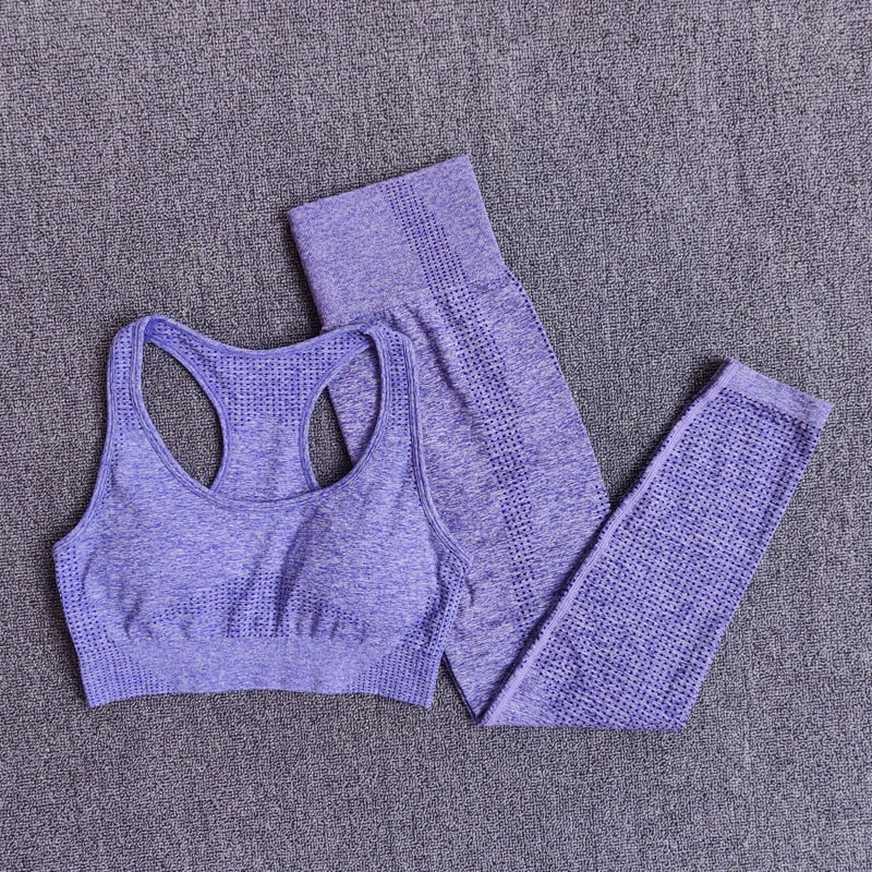 Seamless Women Yoga Set Workout Sportswear Gym