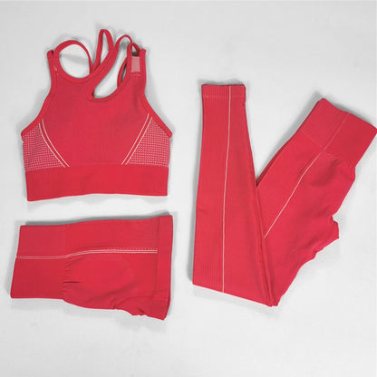 Seamless Sport Set Women Long Two Piece