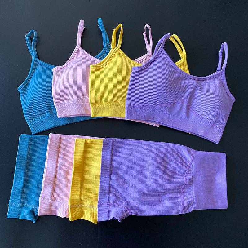 Seamless 2 Piece Yoga Set Women Gym Clothes