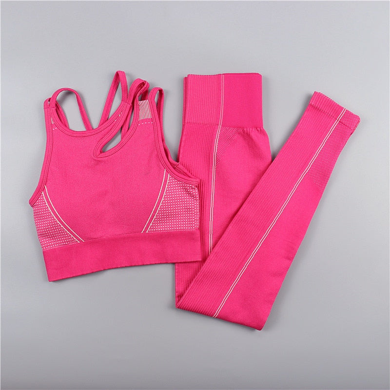 Seamless Sport Set Women Long Two Piece