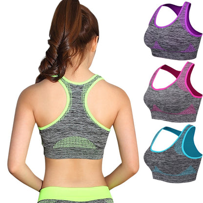 Shockproof Quick Dry Sports Bra Women Padded