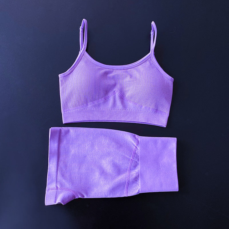 Seamless 2 Piece Yoga Set Women Gym Clothes