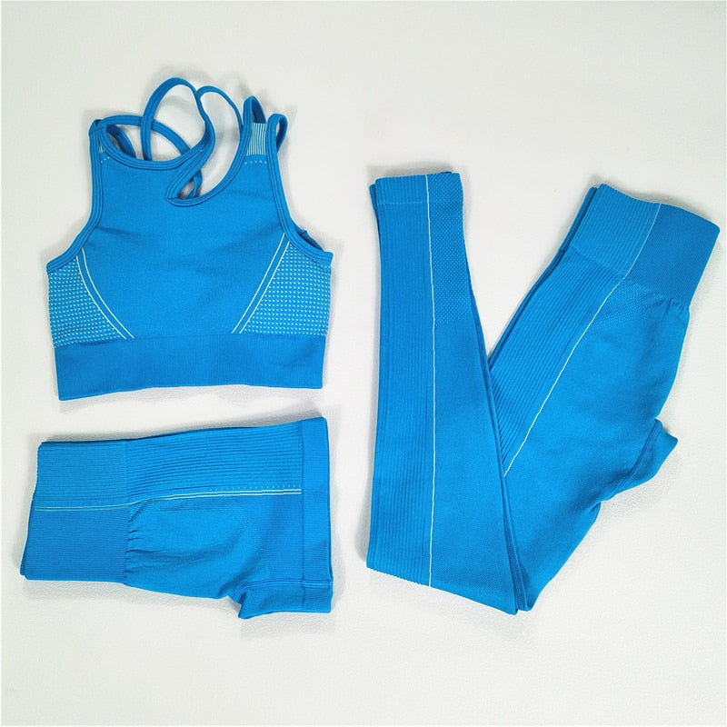 Seamless Sport Set Women Long Two Piece