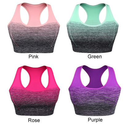 Gradient High Stretch Sports Bra for Women Quick Dry