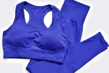 Workout Clothes For Women Seamless Yoga Set