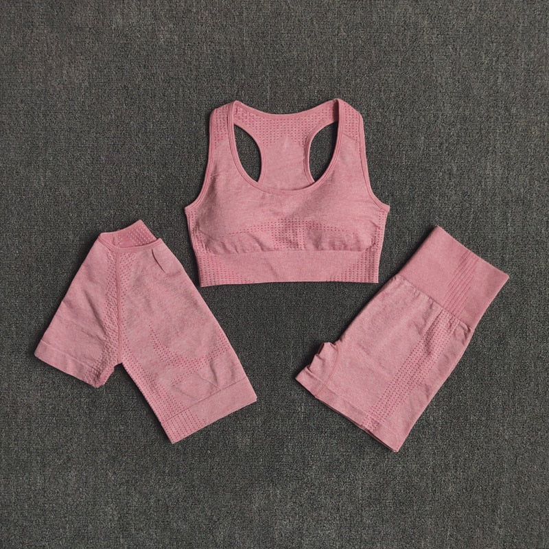 Seamless Women Yoga Set Workout Sportswear Gym