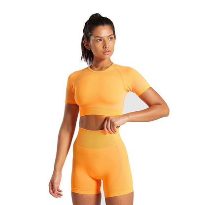 Seamless Sport Set Women Long Two Piece