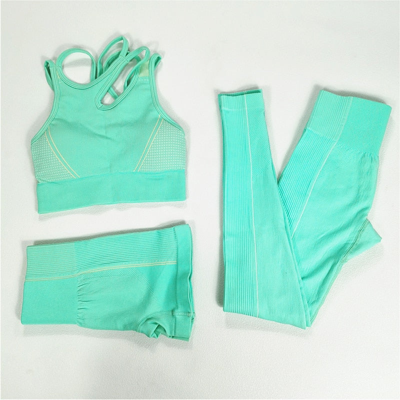 Seamless Sport Set Women Long Two Piece