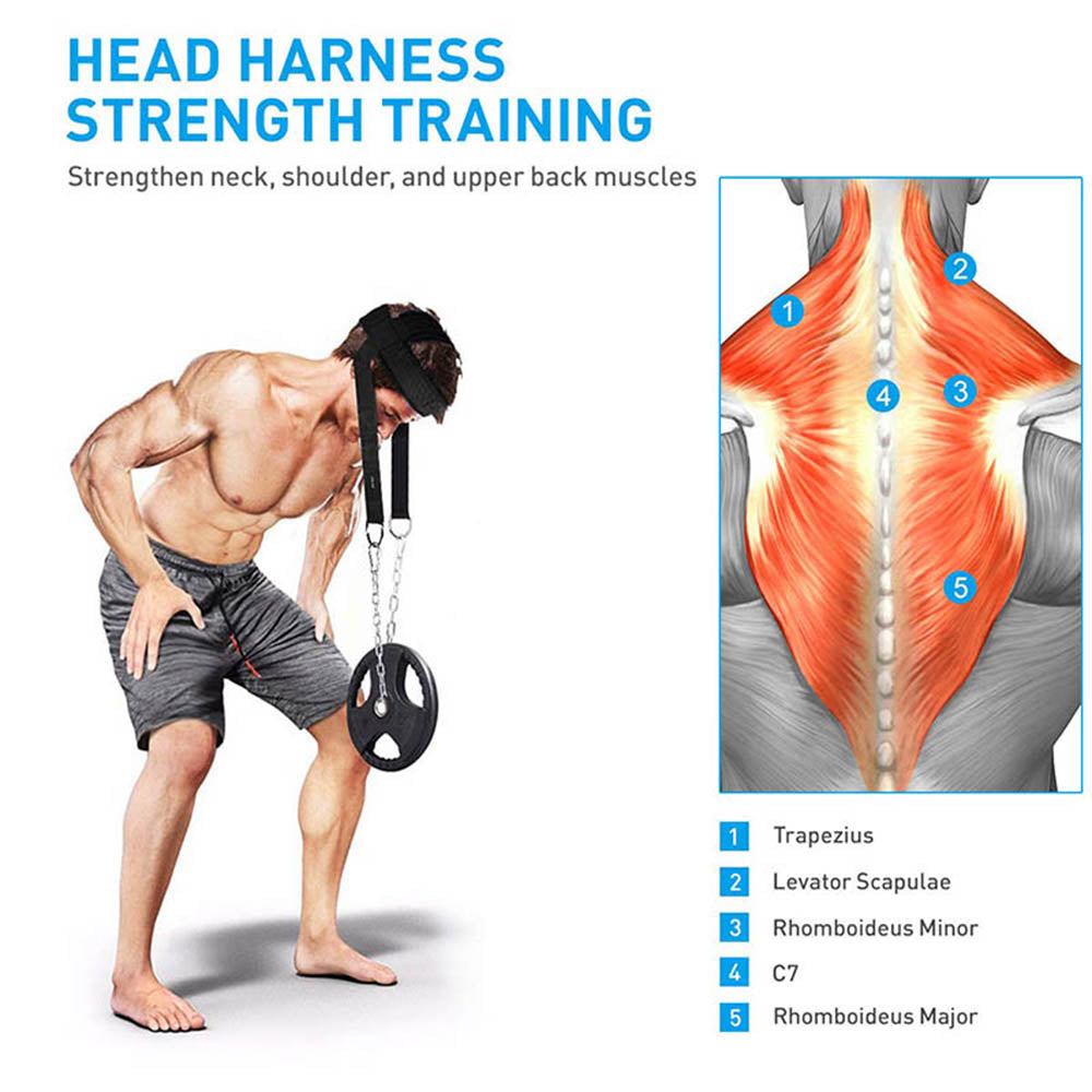 Head Neck Training Head Harness Body Strength