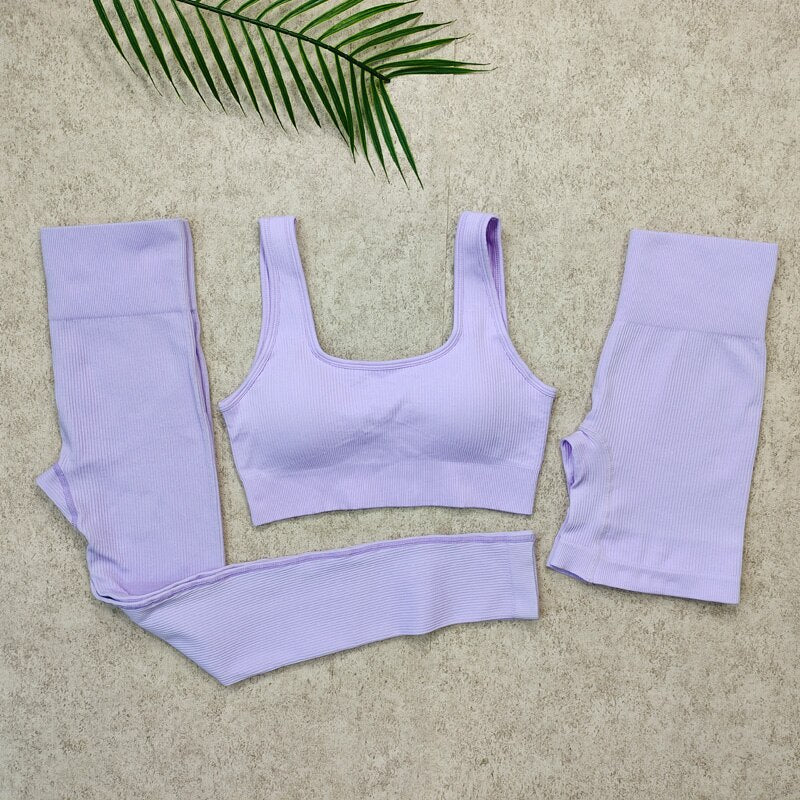 Seamless Yoga Set Fitness Suit Women Gym Sets