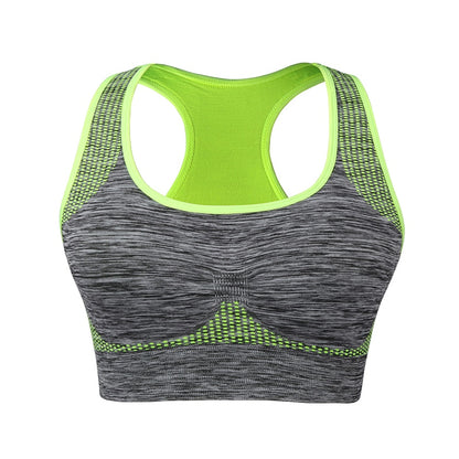 Women Professional Sport Bra Padded Push Up Shockproof