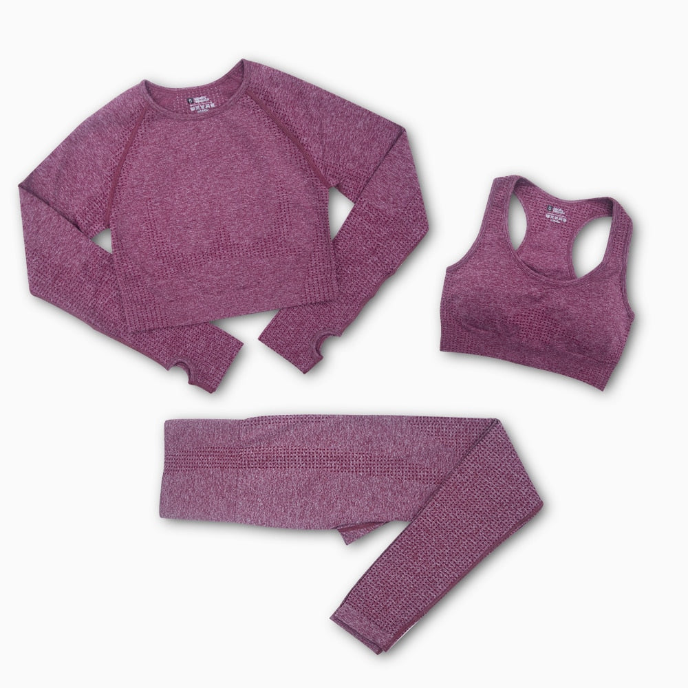 Seamless Women Yoga Set Workout Sportswear Gym