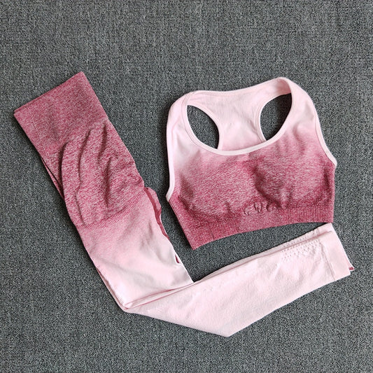 Seamless Yoga Set Sport Wear Women Gym Workout