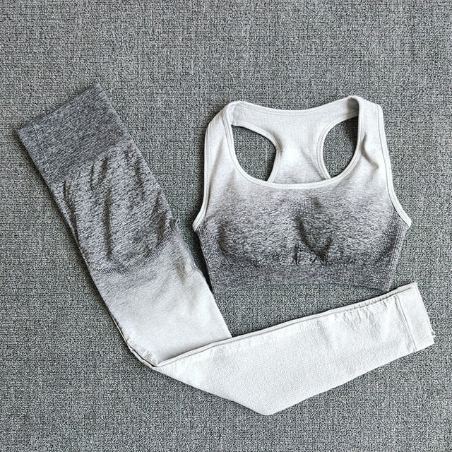 Seamless Yoga Set Sport Wear Women Gym Workout