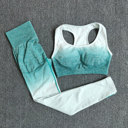 Seamless Yoga Set Sport Wear Women Gym Workout