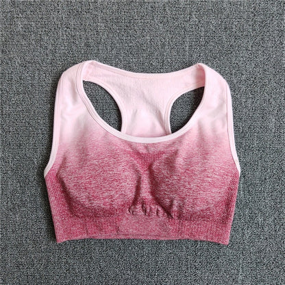 Seamless Yoga Set Sport Wear Women Gym Workout